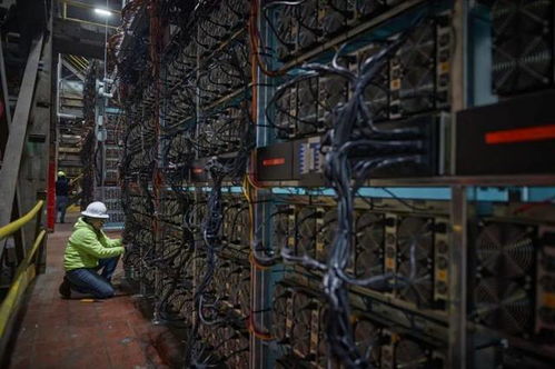 Large-scale mining farm hosting multiple ASIC miners for efficient operation