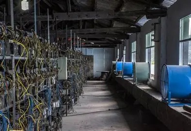 Bitcoin mining farm with hosting support teams at work