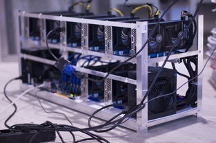 State-of-the-art mining rigs operating in a hosting facility