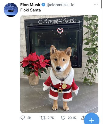 Dogecoin ASIC miner setup in a hosted mining farm